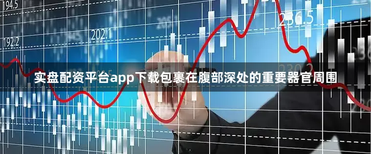实盘配资平台app下载包裹在腹部深处的重要器官周围