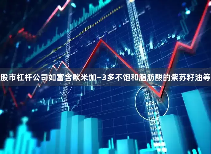 股市杠杆公司如富含欧米伽—3多不饱和脂肪酸的紫苏籽油等