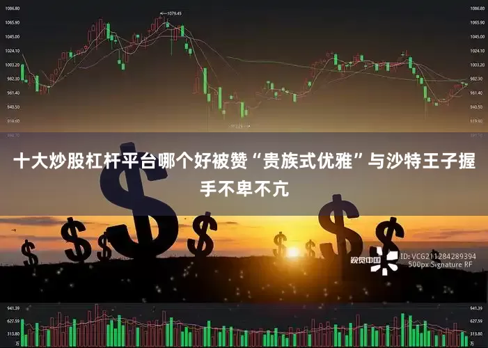 十大炒股杠杆平台哪个好被赞“贵族式优雅”与沙特王子握手不卑不亢