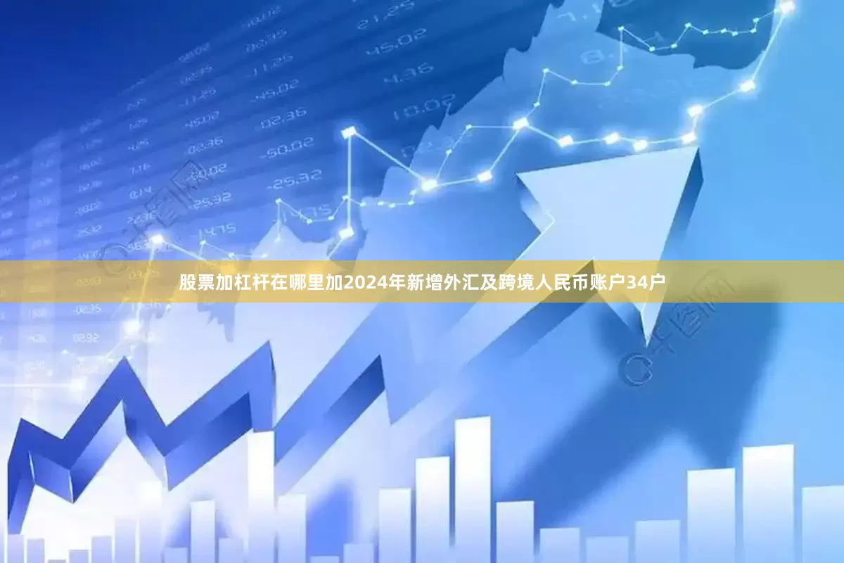 股票加杠杆在哪里加2024年新增外汇及跨境人民币账户34户